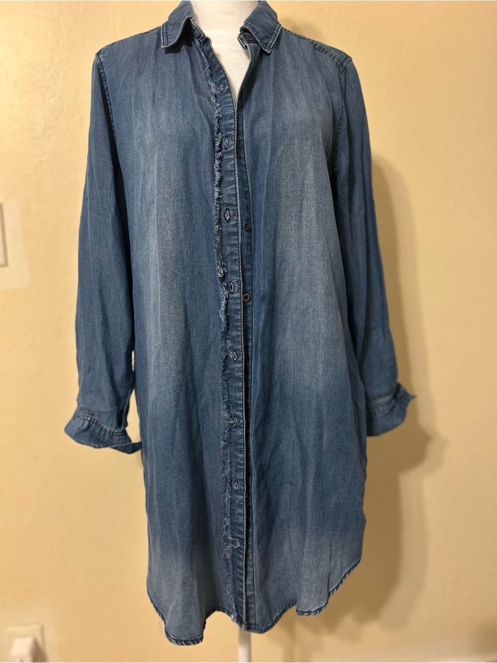 Westbound Denim Button-Down Shirt Dress in Blue